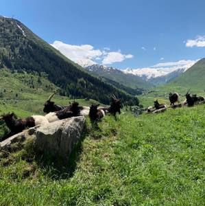 Meet your Posher, Sou